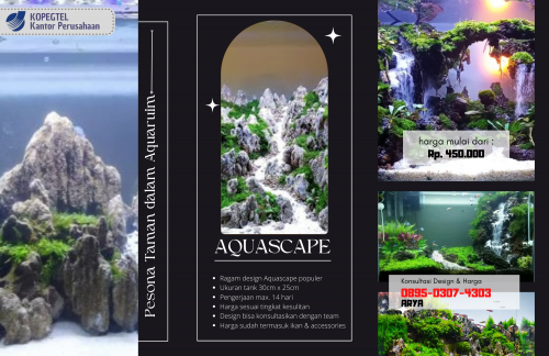 recent-project-img-1